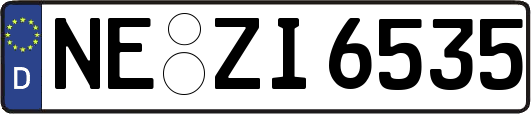NE-ZI6535