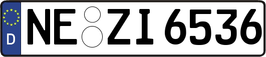 NE-ZI6536