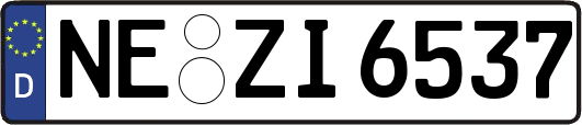 NE-ZI6537