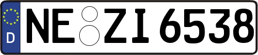 NE-ZI6538