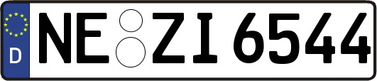 NE-ZI6544