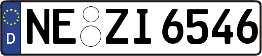 NE-ZI6546