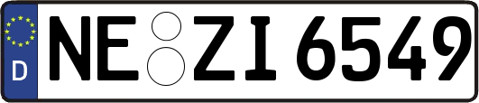NE-ZI6549