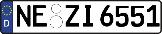 NE-ZI6551