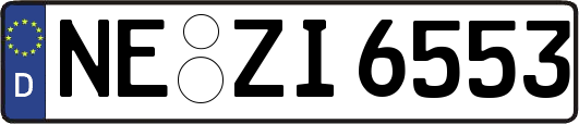 NE-ZI6553