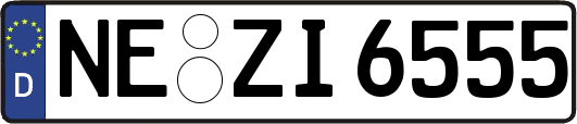 NE-ZI6555