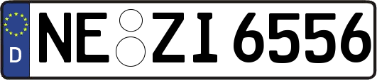 NE-ZI6556