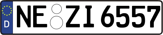 NE-ZI6557