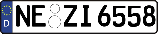 NE-ZI6558