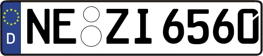 NE-ZI6560