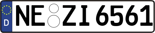 NE-ZI6561