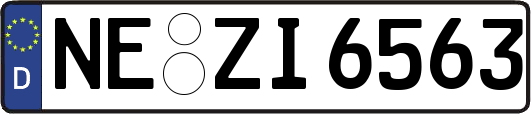 NE-ZI6563