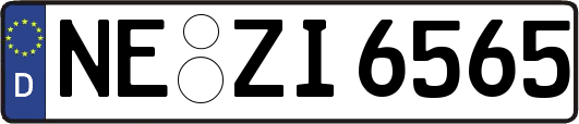 NE-ZI6565