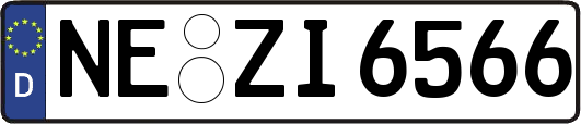 NE-ZI6566