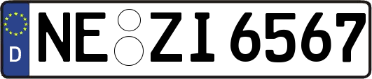 NE-ZI6567