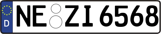 NE-ZI6568