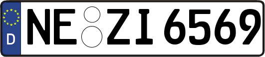 NE-ZI6569