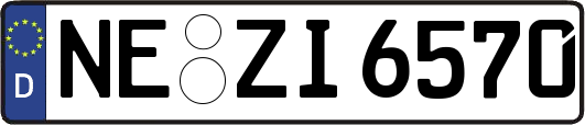 NE-ZI6570