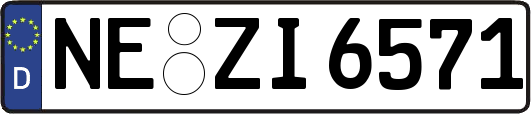 NE-ZI6571