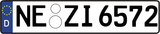 NE-ZI6572