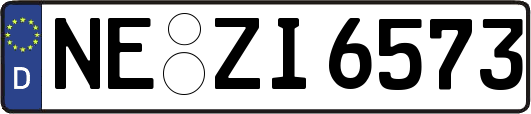 NE-ZI6573