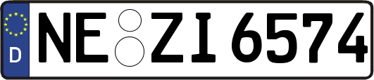 NE-ZI6574