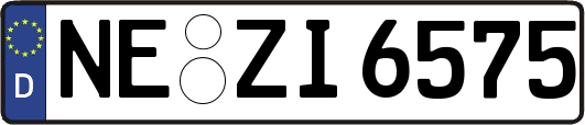 NE-ZI6575