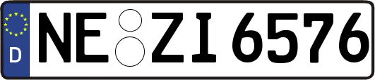 NE-ZI6576