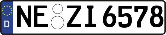 NE-ZI6578