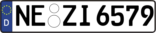 NE-ZI6579
