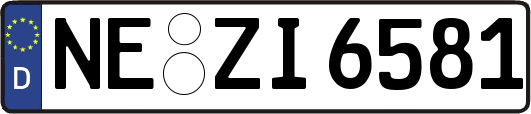 NE-ZI6581