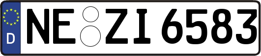 NE-ZI6583
