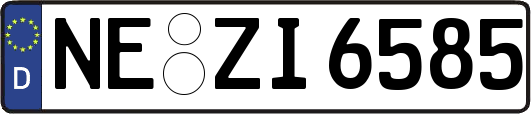 NE-ZI6585