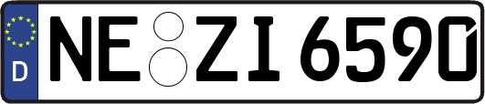 NE-ZI6590