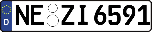 NE-ZI6591