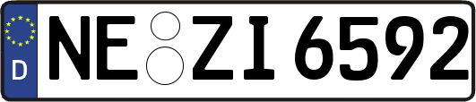 NE-ZI6592