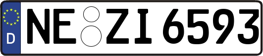 NE-ZI6593