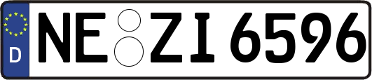 NE-ZI6596