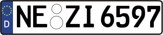 NE-ZI6597
