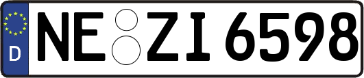 NE-ZI6598