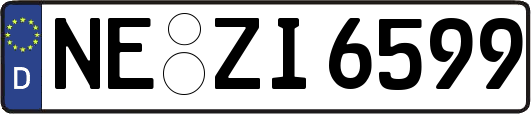 NE-ZI6599