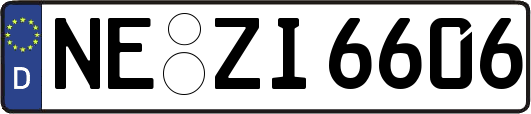 NE-ZI6606