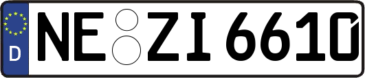 NE-ZI6610