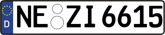NE-ZI6615