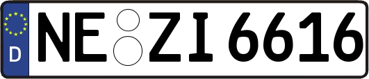 NE-ZI6616