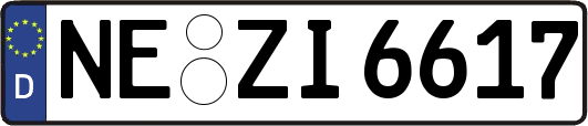 NE-ZI6617