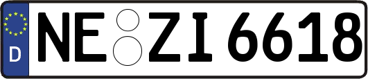 NE-ZI6618