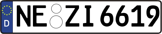NE-ZI6619