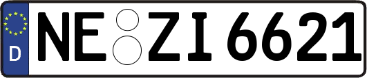 NE-ZI6621