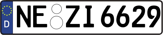 NE-ZI6629